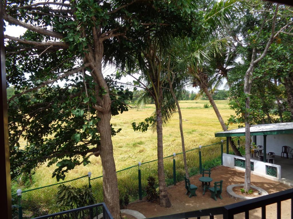 Man Guest Polonnaruwa Hotel Exterior foto
