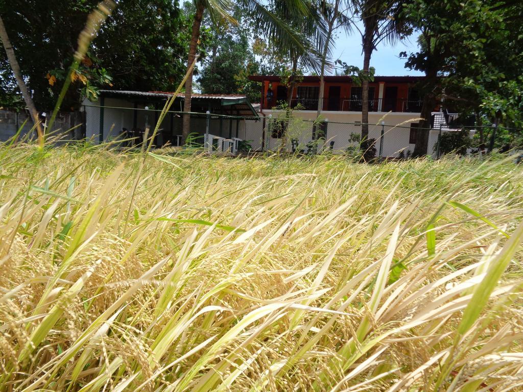 Man Guest Polonnaruwa Hotel Exterior foto